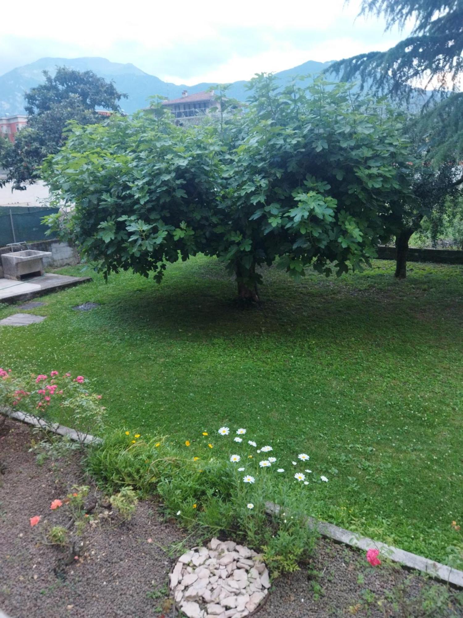 Ferienwohnung Rose Garden House Wi-Fi Riva del Garda Exterior foto